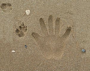 Unterkunft 680218 - Ferienhaus Noordzeekust - Vakantiehuis BlueSky