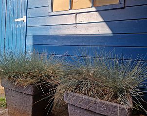 Verblijf 680225 - Vakantiewoning Noordzeekust - Vakantiehuis Happy House