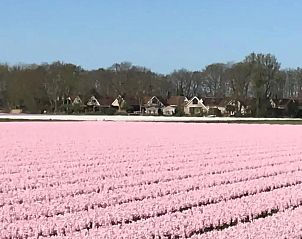 Verblijf 680239 - Vakantiewoning Noordzeekust - Q-Duin