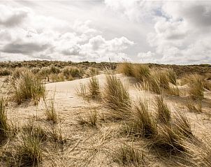 Unterkunft 680415 - Strandhaus Noordzeekust - HaagseStrandhuisjes 5 pers