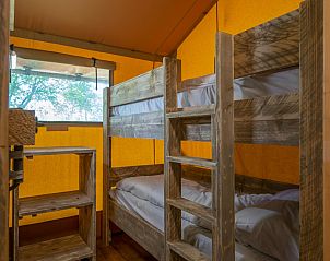 Unterkunft 6804167 - Zelthaus Noordzeekust - Safaritent 6