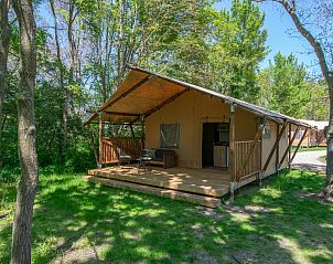 Unterkunft 6804169 - Zelthaus Noordzeekust - Safaritent 4