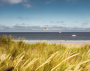 Unterkunft 680420 - Ferienhaus Noordzeekust - Vakantiehuis KD 808 - Vakantiepark Kijkduin 4p