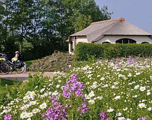 Verblijf 680503 - Vakantiewoning Noordzeekust - ZH028