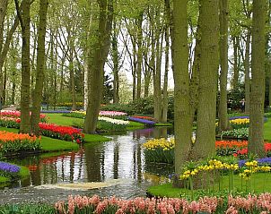 Guest house 680804 - Holiday property Noordzeekust - Vakantiehuis Aurora, Katwijk Zee