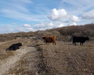 Guest house 681539 - Apartment Noordzeekust - Scheveningen 66