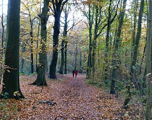 Guest house 681818 - Holiday property Noordzeekust - Strandpark Vlugtenburg 8