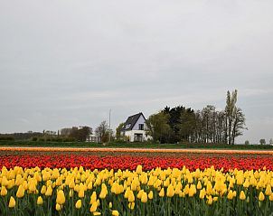 Unterkunft 681903 - Ferienhaus Noordzeekust - Morgenrood