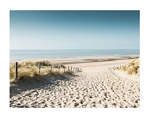 Guest house 682118 - Holiday property Noordzeekust - 283104