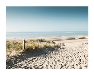 Guest house 682119 - Holiday property Noordzeekust - 293575