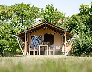 Verblijf 690106 • Tenthuis Voorne Putten/Hoekse waard • Safaritent Cozy (inclusief ontbijt) 