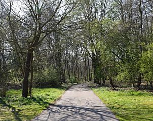 Wooded hiking trails around Holiday home in Oostvoorne, ideal for nature lovers.