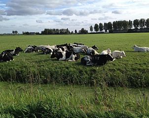 Unterkunft 690347 - Ferienhaus Voorne Putten/Hoekse waard - Villapark Zuytland Buiten 329