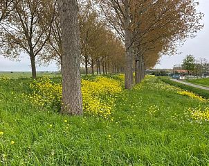 Unterkunft 690347 - Ferienhaus Voorne Putten/Hoekse waard - Villapark Zuytland Buiten 329