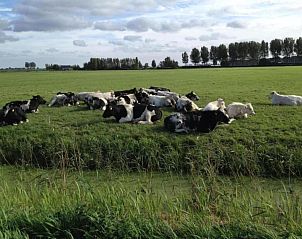 Unterkunft 690349 - Ferienhaus Voorne Putten/Hoekse waard - Standaard 211
