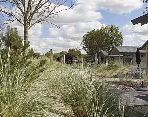 Rustgevende omgeving met vakantiehuizen en natuur bij Vakantiehuis De Duinpan 12 in Hellevoetsluis, Zuid-Holland.