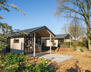 Guest house 690468 - Holiday property Voorne Putten/Hoekse waard - Tiny Lodge