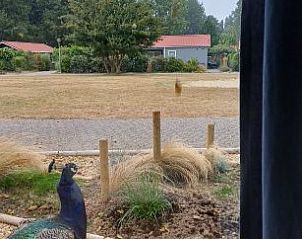 Verblijf 690805 - Chalet Voorne Putten/Hoekse waard - Pinquin 31