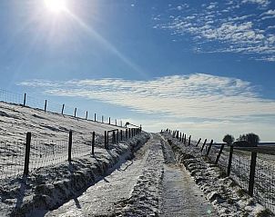 Besneeuwde paden bij Vakantiehuisje in Zuidland, Voorne Putten, Zuid-Holland.