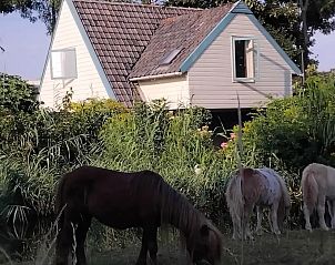 Verblijf 700603 - Vakantiewoning Rotterdam eo - Cottage in the Green