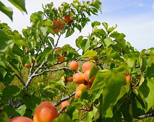 Verblijf 702101 - Vakantiewoning Rotterdam eo - Huisje in Poortugaal