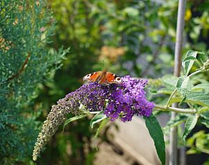 Verblijf 702101 - Vakantiewoning Rotterdam eo - Huisje in Poortugaal