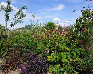 Verblijf 702101 - Vakantiewoning Rotterdam eo - Huisje in Poortugaal