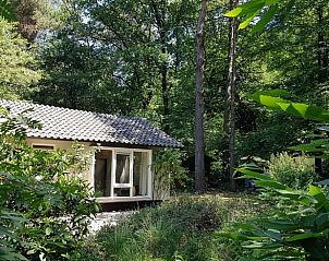 Unterkunft 710116 • Ferienhaus Rijk van Nijmegen • Vakantiehuisje in Groesbeek 