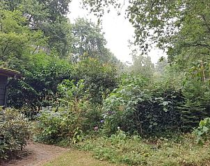 Guest house 710117 - Holiday property Rijk van Nijmegen - Vakantiehuis in Groesbeek