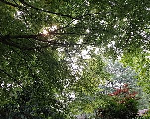 Guest house 710117 - Holiday property Rijk van Nijmegen - Vakantiehuis in Groesbeek