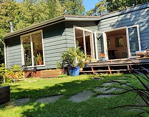 Ruime tuin van vakantiehuisje in Groesbeek, ideaal voor ontspanning in het Rijk van Nijmegen, Gelderland.