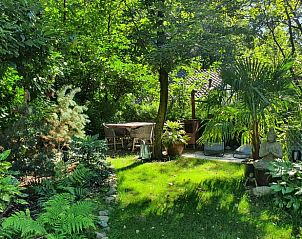 Weelderige tuin met zitplek bij vakantiehuisje in Groesbeek, een groene oase in het Rijk van Nijmegen, Gelderland.