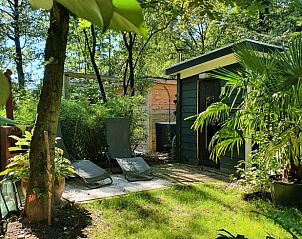 Rustgevende tuin met ligstoelen bij vakantiehuisje in Groesbeek, omgeven door natuur in het Rijk van Nijmegen, Gelderland.
