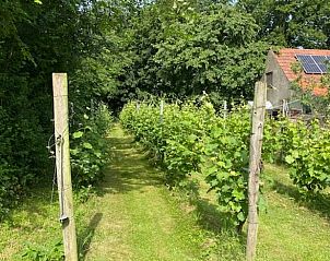Unterkunft 710153 - Ferienhaus Rijk van Nijmegen - Vakantiehuisje in Groesbeek