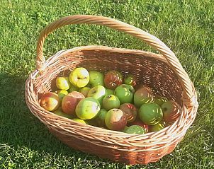 Unterkunft 710203 - Ferienhaus Rijk van Nijmegen - Vakantiehuisje in Malden