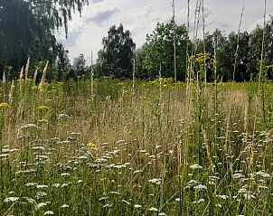Unterkunft 710203 - Ferienhaus Rijk van Nijmegen - Vakantiehuisje in Malden