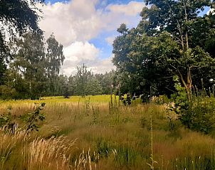 Unterkunft 710203 - Ferienhaus Rijk van Nijmegen - Vakantiehuisje in Malden
