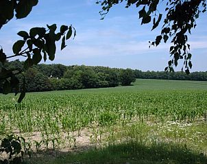 Unterkunft 710707 - Ferienhaus Rijk van Nijmegen - Vakantiehuis in Berg en Dal