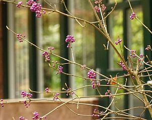 Guest house 710712 - Holiday property Rijk van Nijmegen - Vakantiehuis in Berg en Dal