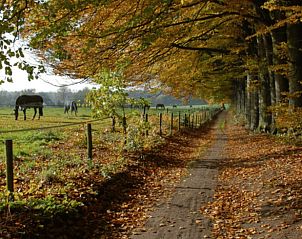 Guest house 710712 - Holiday property Rijk van Nijmegen - Vakantiehuis in Berg en Dal