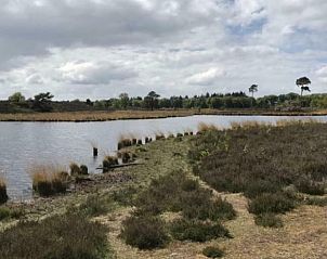 Rustige vijver in de omgeving van Huisje in Alverna, vakantiehuis in Rijk van Nijmegen, Gelderland.