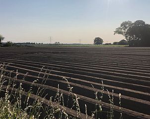 Landelijk uitzicht rondom Vakantiehuisje in Overasselt, Rijk van Nijmegen, Gelderland.