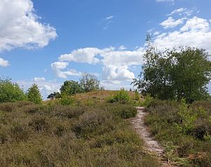 Natuurlijke wandelpaden bij Huisje in Overasselt, vakantiehuis in het Rijk van Nijmegen, Gelderland.