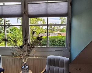 Uitzicht op de tuin vanuit de slaapkamer van Vakantiehuis in Overasselt, Gelderland.