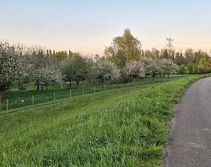 Bloeiende fruitbomen langs het pad bij Vakantiehuis in Overasselt, Gelderland.