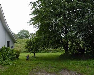 Groene tuin naast Vakantiehuis in Kekerdom, omgeven door natuur, Rijk van Nijmegen, Gelderland.