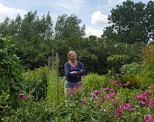 Unterkunft 712101 - Ferienhaus Rijk van Nijmegen - Vakantiehuis in Balgoij
