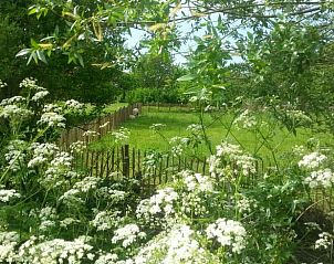 Unterkunft 712101 - Ferienhaus Rijk van Nijmegen - Vakantiehuis in Balgoij