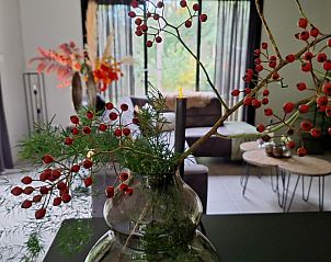 Unterkunft 990115 - Ferienhaus Salland - Borkerijck