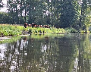 Unterkunft 990115 - Ferienhaus Salland - Borkerijck